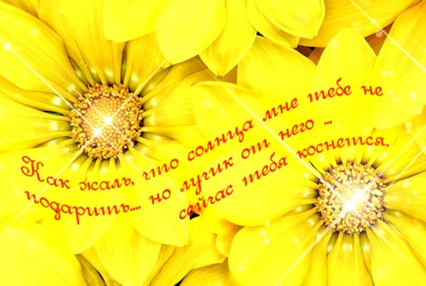 Солнечного дня и хорошего настроения