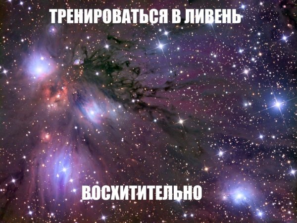 Люблю тебя очень