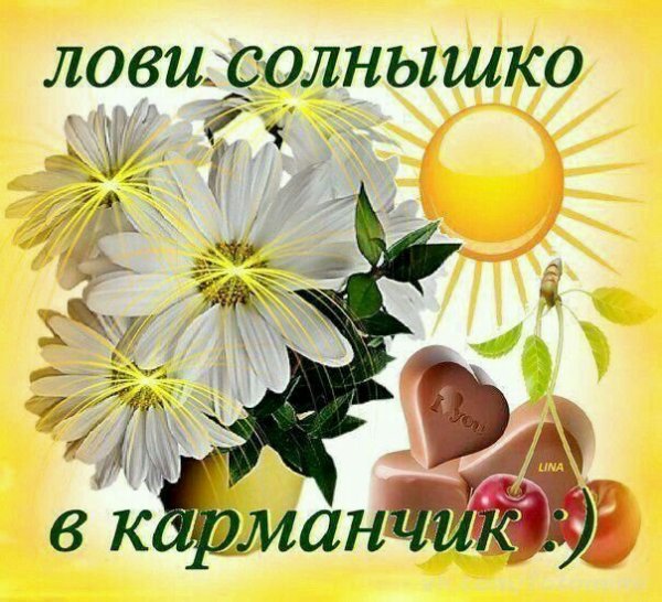 Доброе солнечное утро