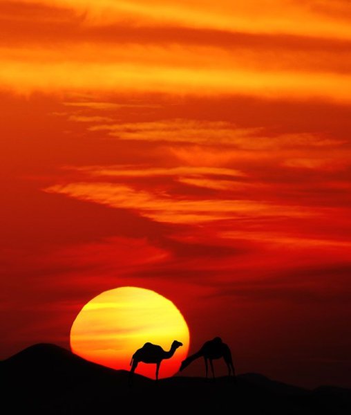 Закат солнца в пустыне