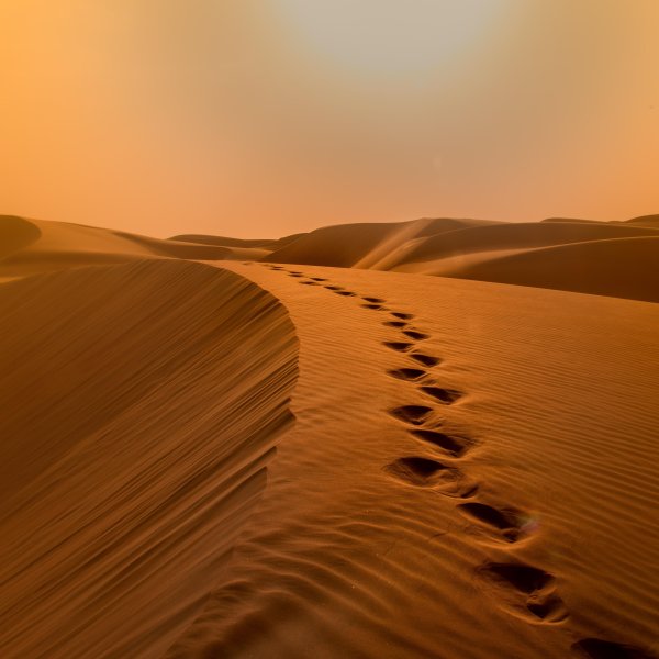 Аравийская пустыня ОАЭ