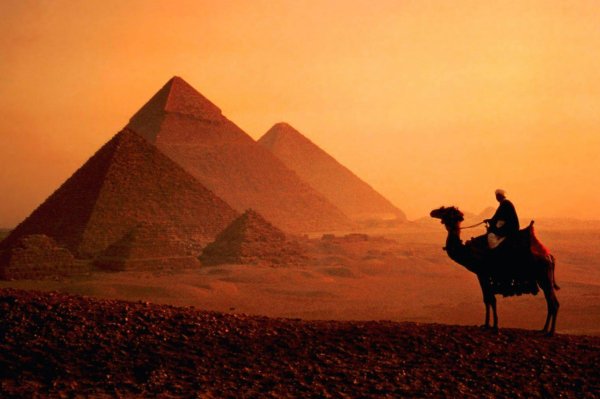 Пирадима пустыня верблюд