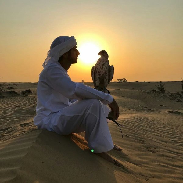 Красивый араб в пустыне