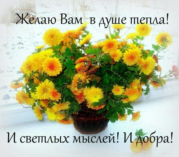 Доброе солнечное утро