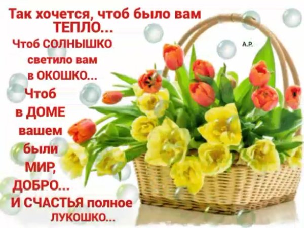 Ромашка радости