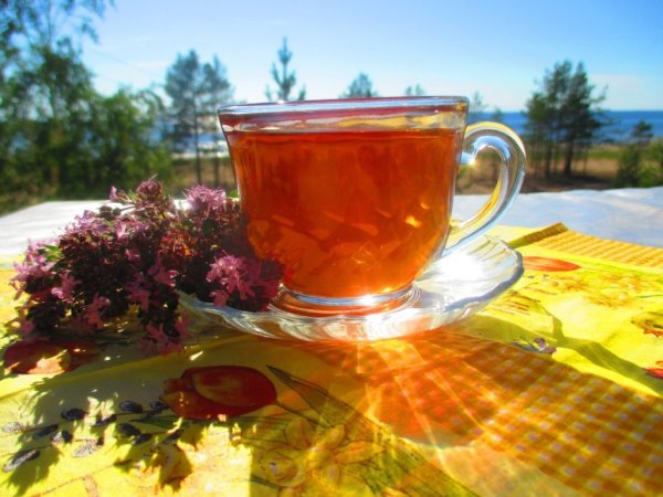 Прекрасного солнечного дня