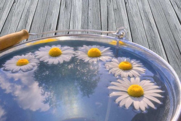 Дивная природа