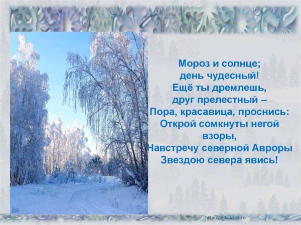 Художник Эльза Хохловкина