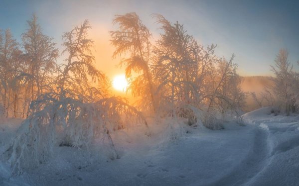 Мороз и солнце день чудесный рисунок