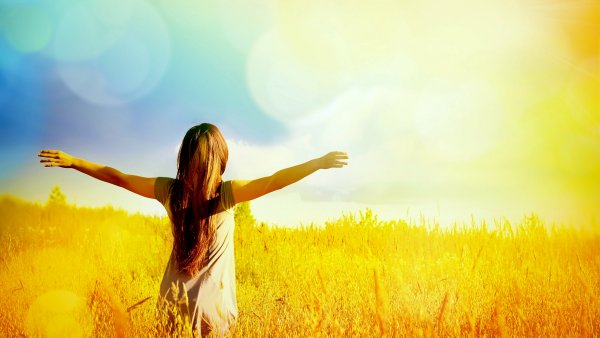 Открытость