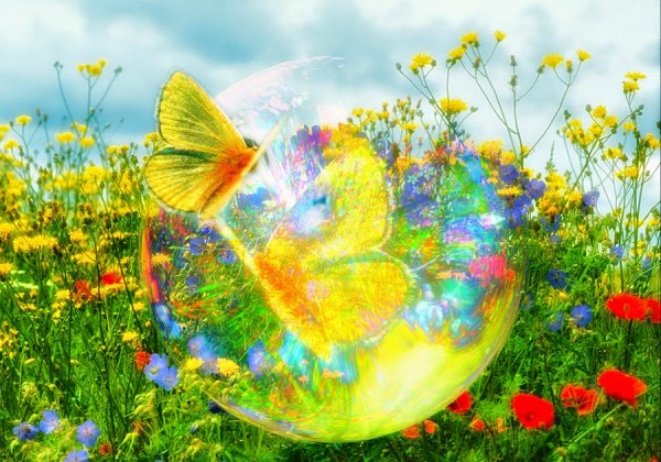 Дети природа лето солнце