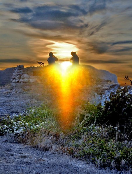 Человек в поле