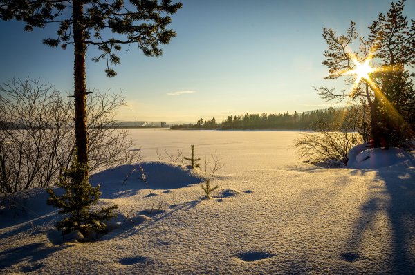 Солнечное зимнее озеро