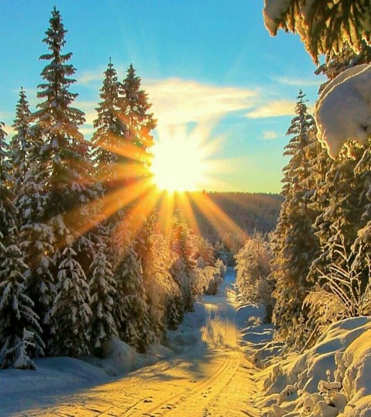 Солнечный зимний день