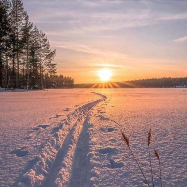 Зимний закат