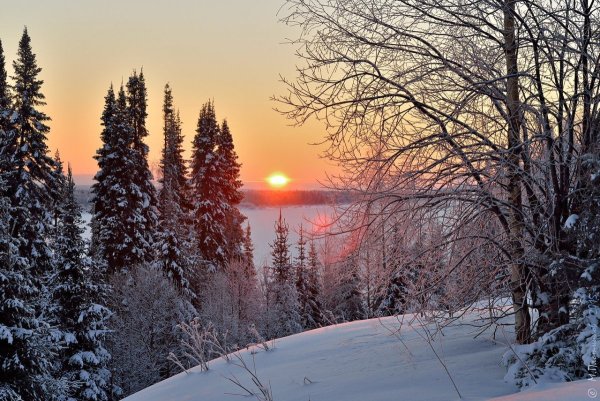 Рассвет в лесу зимой