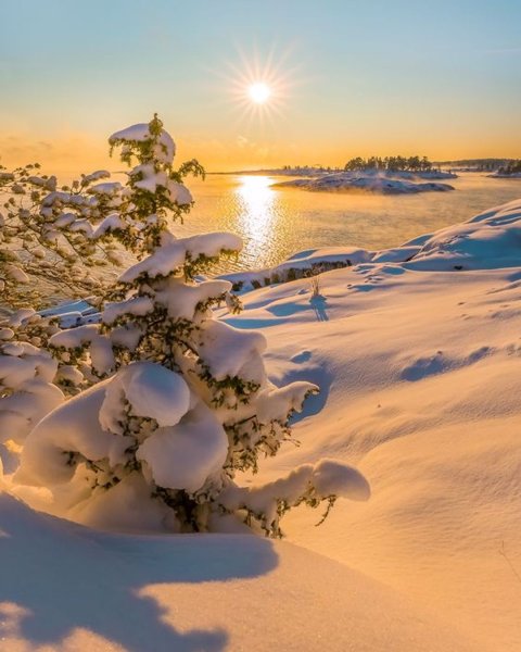 Яркое солнце зимой