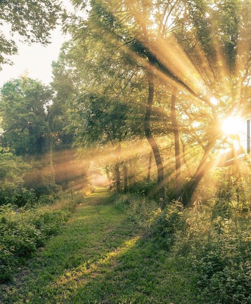 Летнее солнце