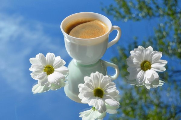 Красивый рассвет