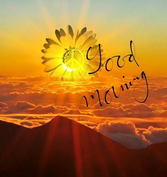 Доброе утро лето