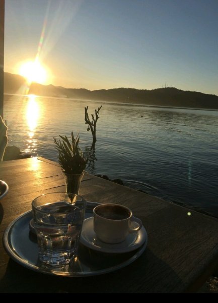 Солнечный цветок