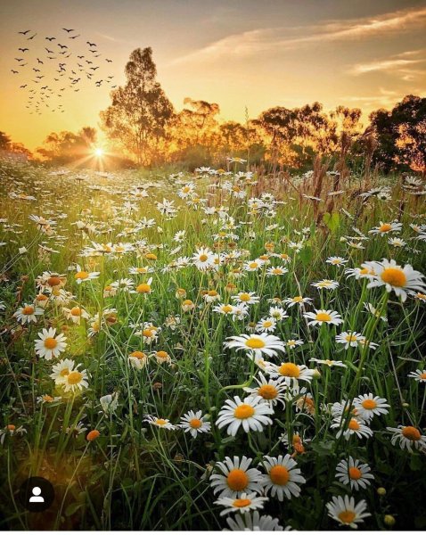 Солнце рассвет