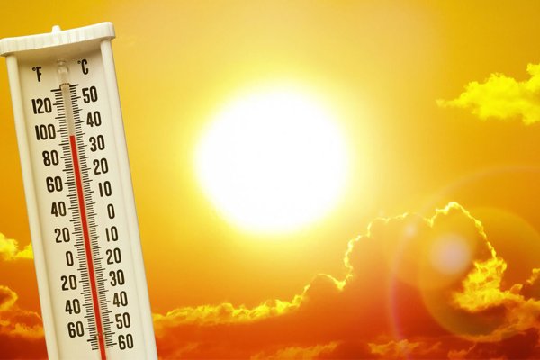 Желтое солнце