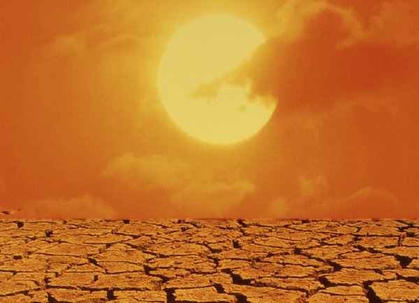 Солнце пустыня жара