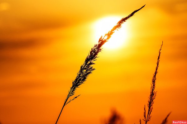 Жаркий Солнечный день