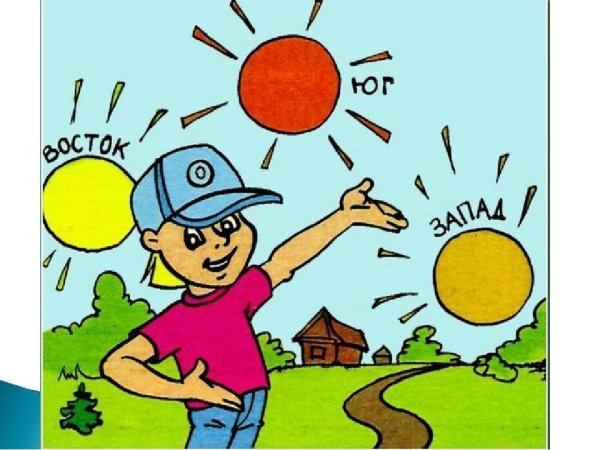 Ориентирование на местности для детей