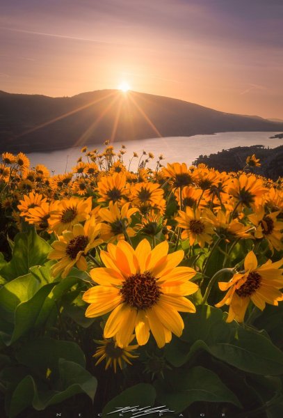 Красивый рассвет