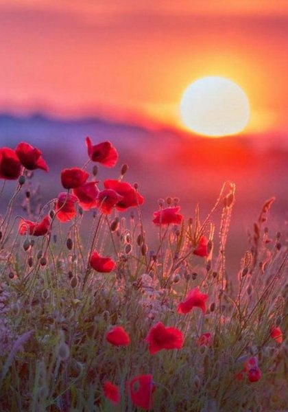 Рассвет летом