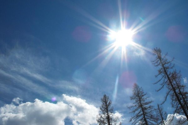 Солнце зимой