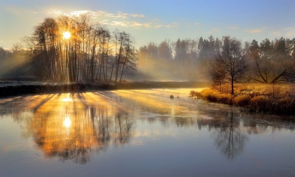 Солнечный весенний день