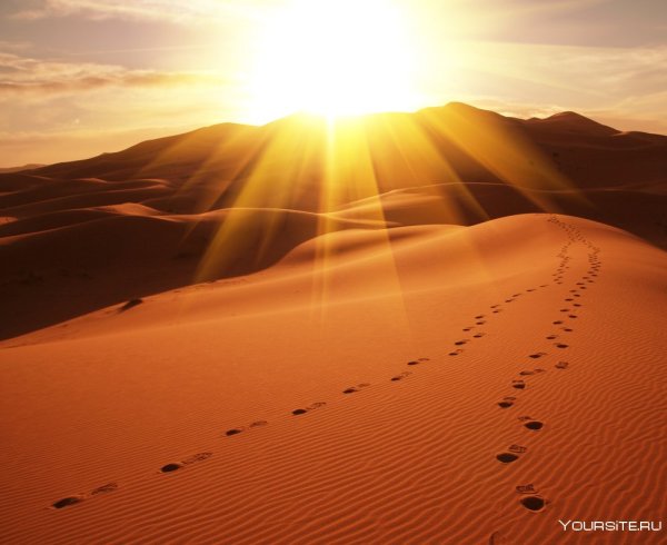 Рассвет в пустыне