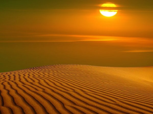 Солнце в пустыне
