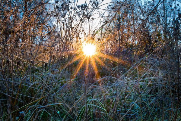 Весеннее небо