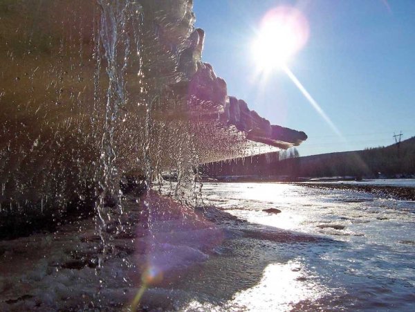 Весна солнце деревья