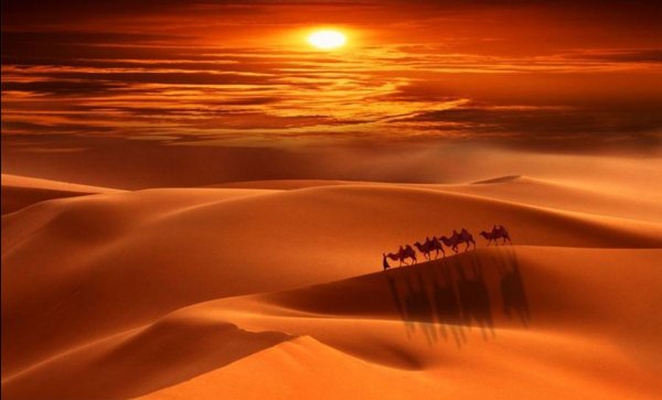 Зной в пустыне