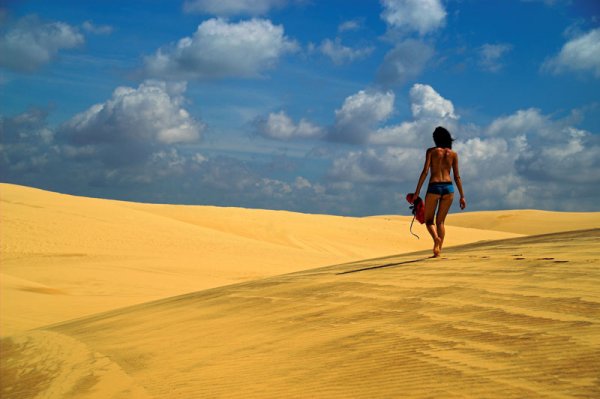 Палящее солнце