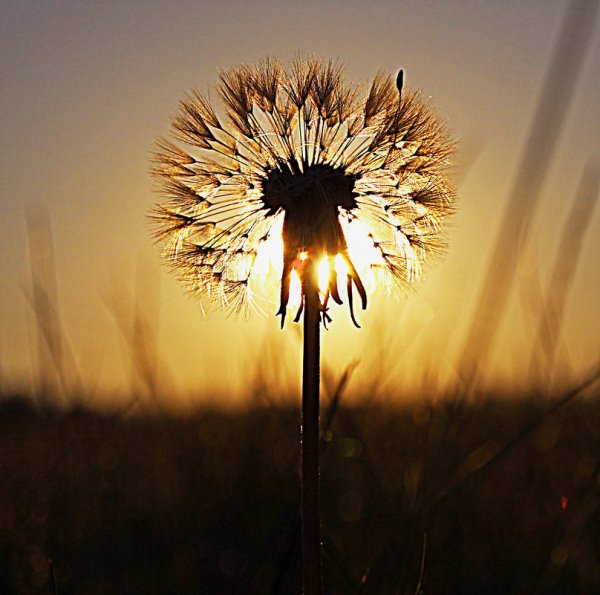 Солнце в космосе для детей