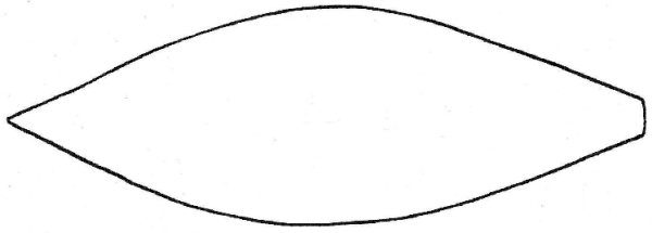 Лучики солнца