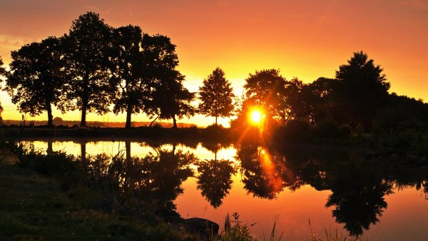 Закат в лесу