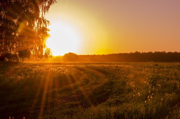 Летний закат