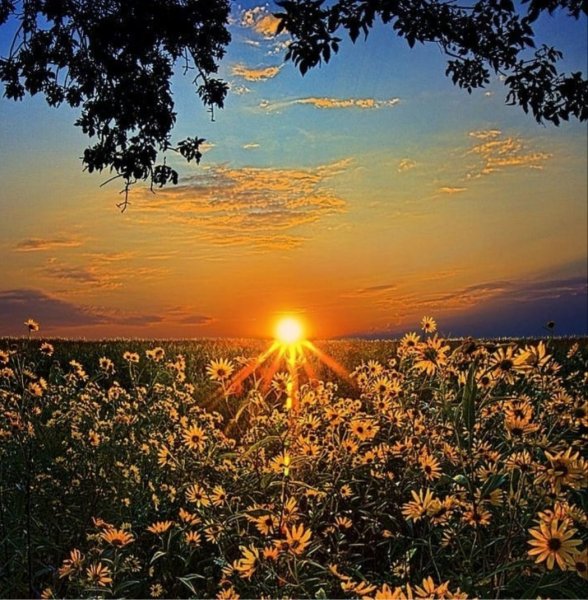 Закат солнца природа