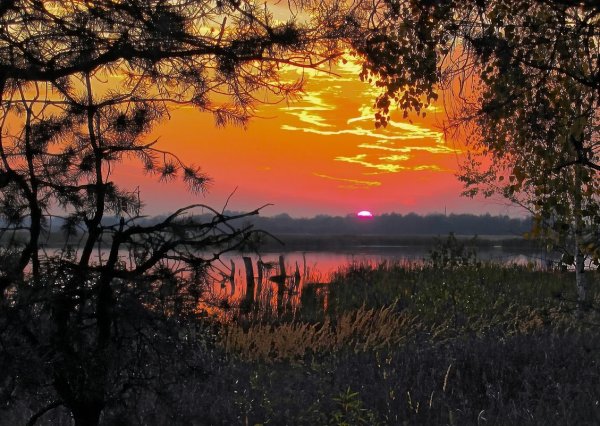 Солнечные лучи в поле