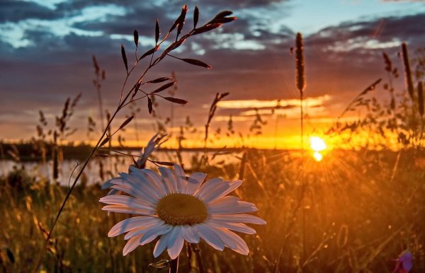 Вечер на реке