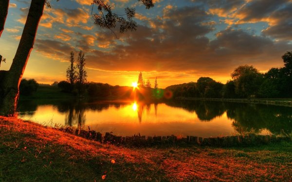 Лето вечер природа