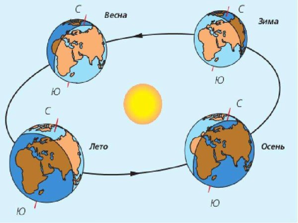 схема годового движения земли вокруг солнца | Дзен