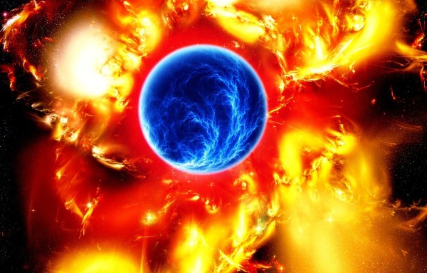 Огненный Феникс Наруто